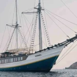 Nayara Cruise