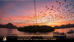 Kalong Island The Flying Fox Sunset in Komodo
