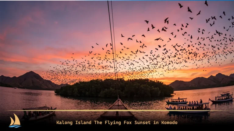 Kalong Island The Flying Fox Sunset in Komodo