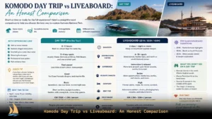 Komodo Day Trip vs Liveaboard An Honest Comparison