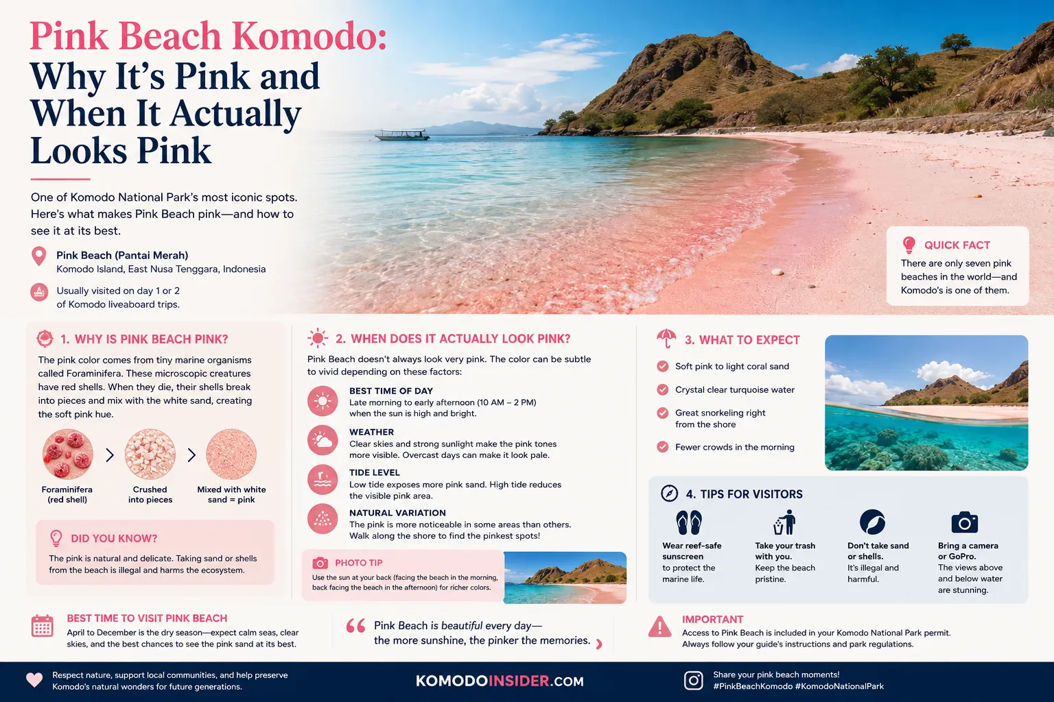 Pink Beach Komodo