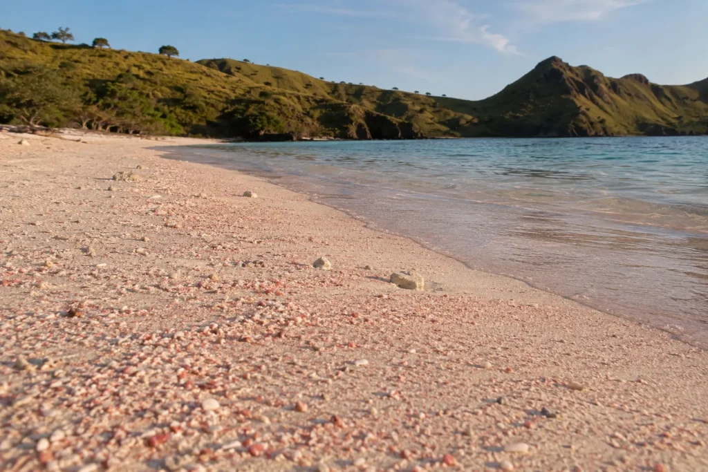Wet pink sand at the waterline of Pink Beach Komodo in low afternoon light