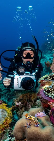Vibrant coral reef and tropical fish underwater at Raja Ampat, West Papua — the world's most biodiverse marine area